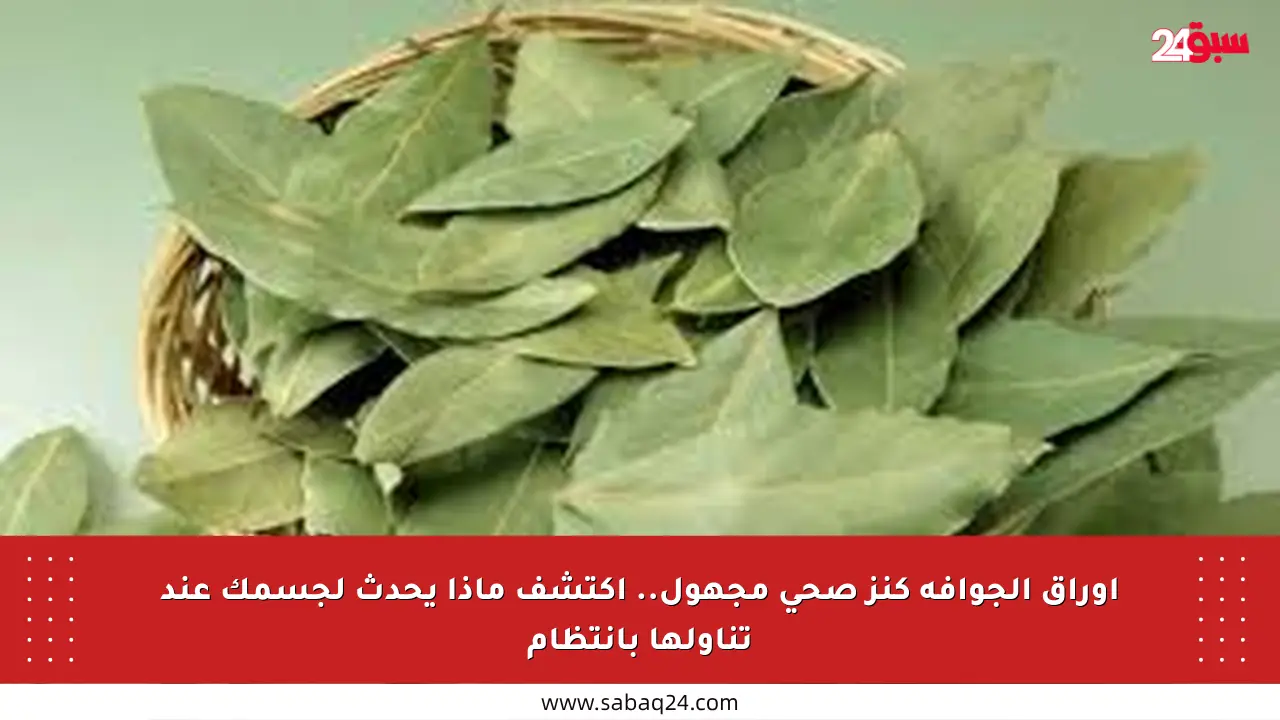 أوراق الجوافة كنز صحي مجهول.. اكتشف ماذا يحدث لجسمك عند تناولها بانتظام